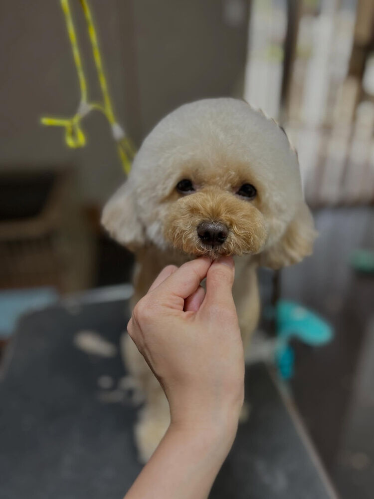 ブログ