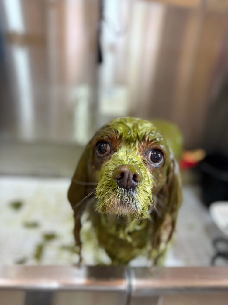 ブログ