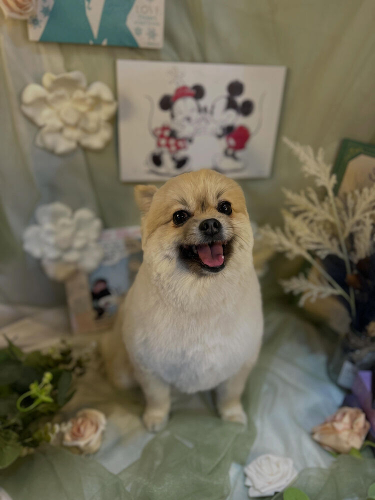 ブログ