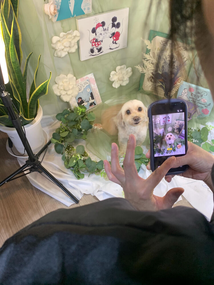 ブログ