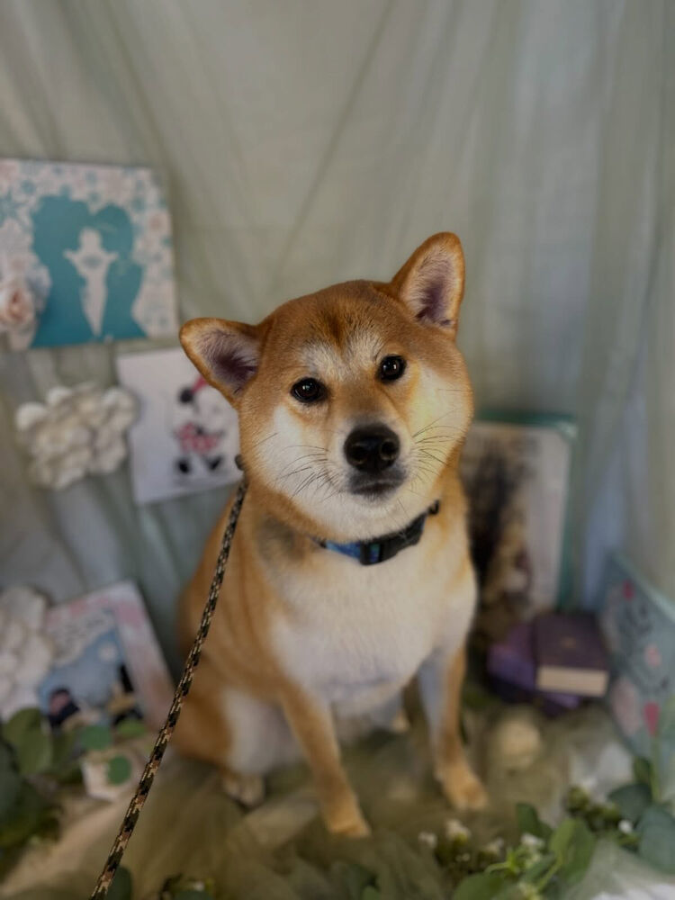 ブログ