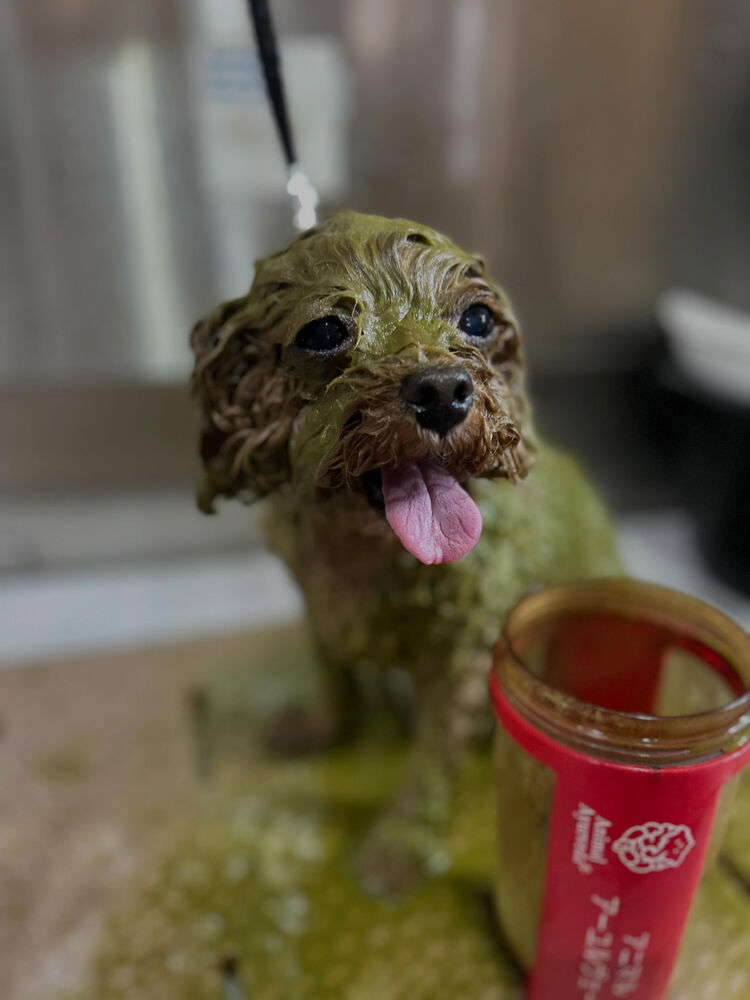 ブログ