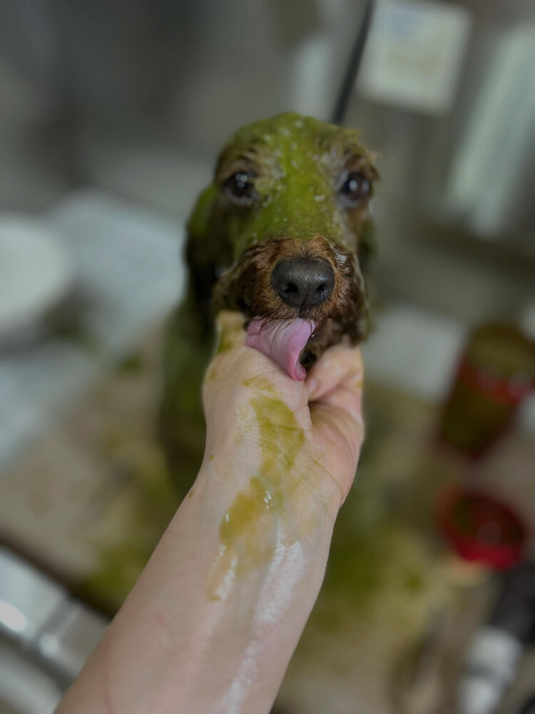 ブログ