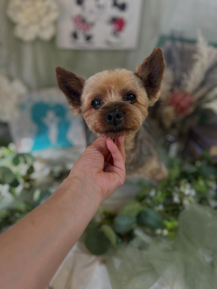 ブログ