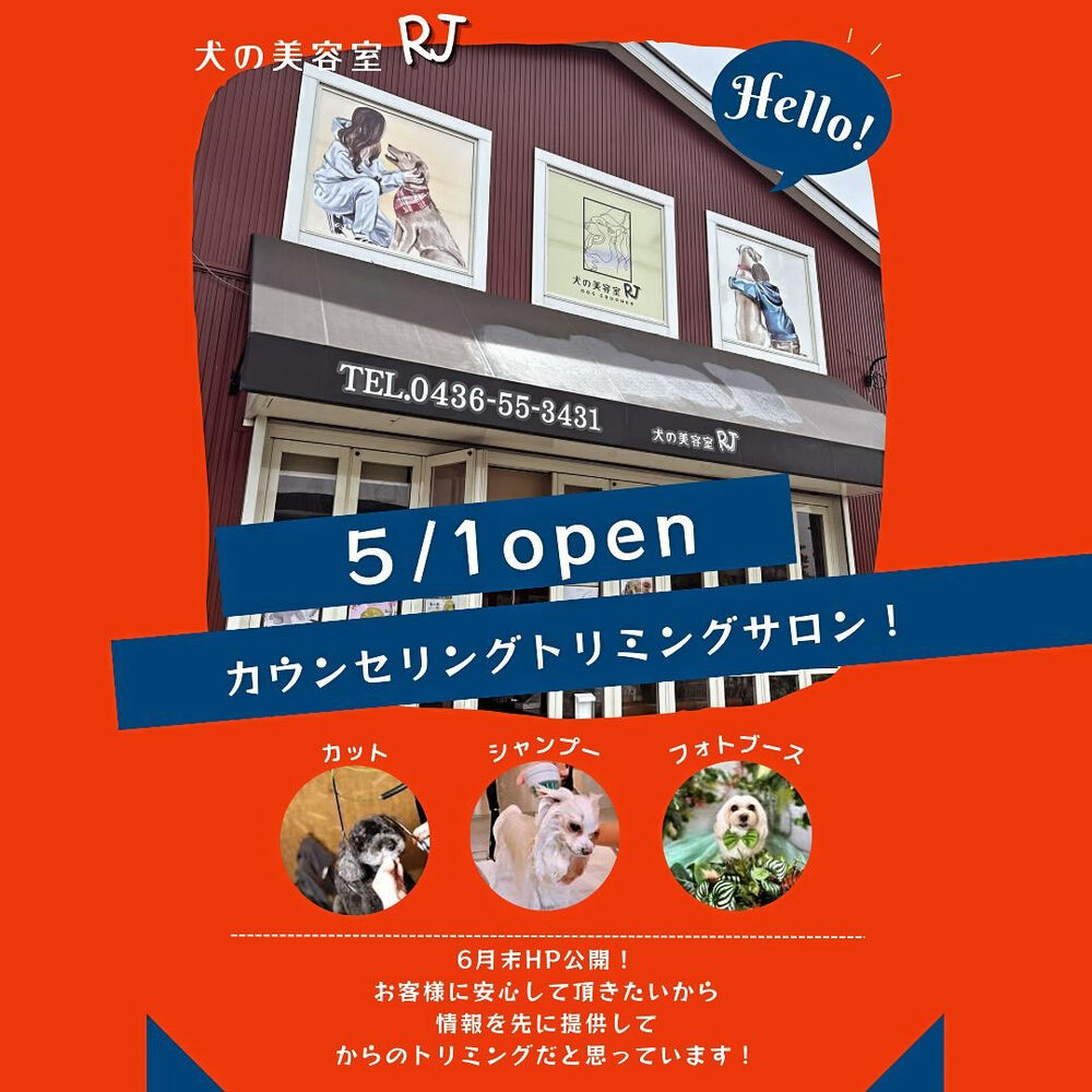 ブログ