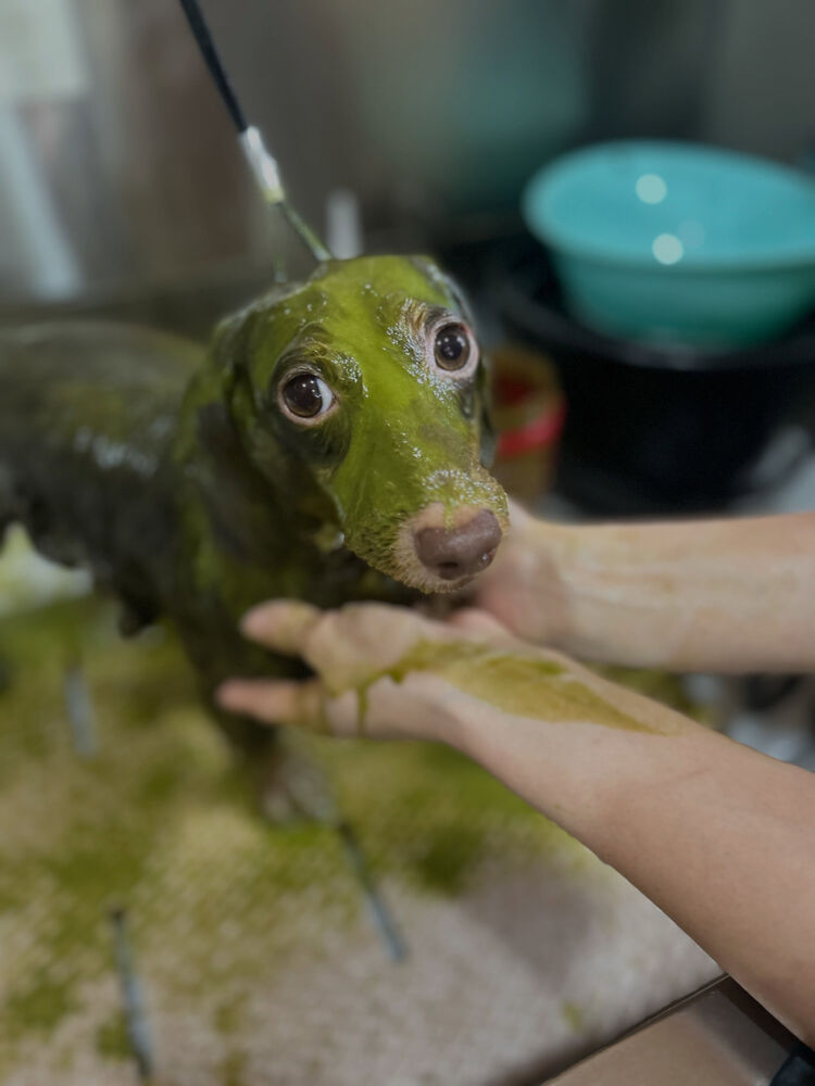 ブログ
