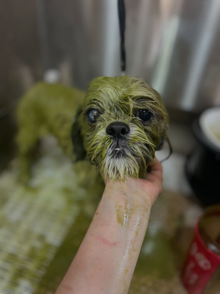 ブログ