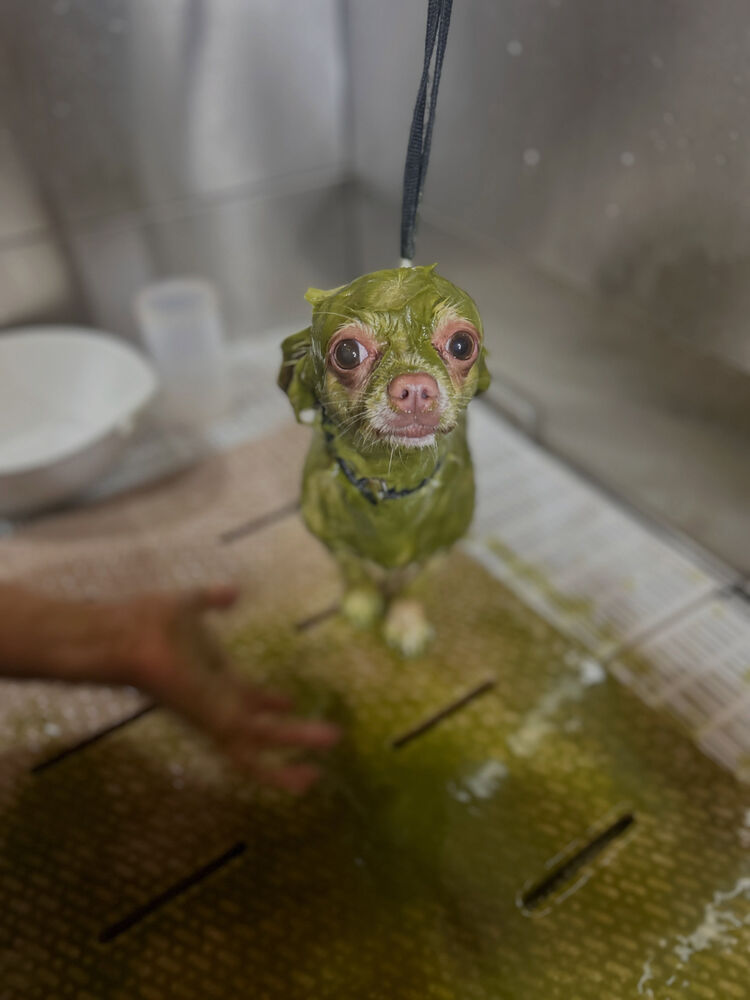 ブログ