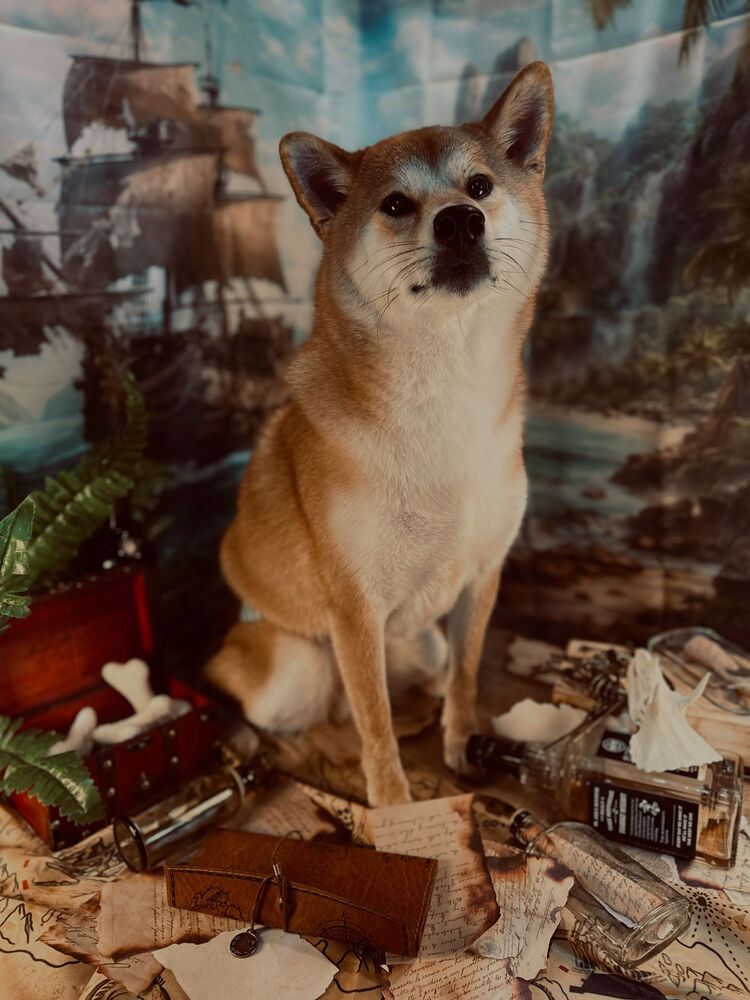 ブログ
