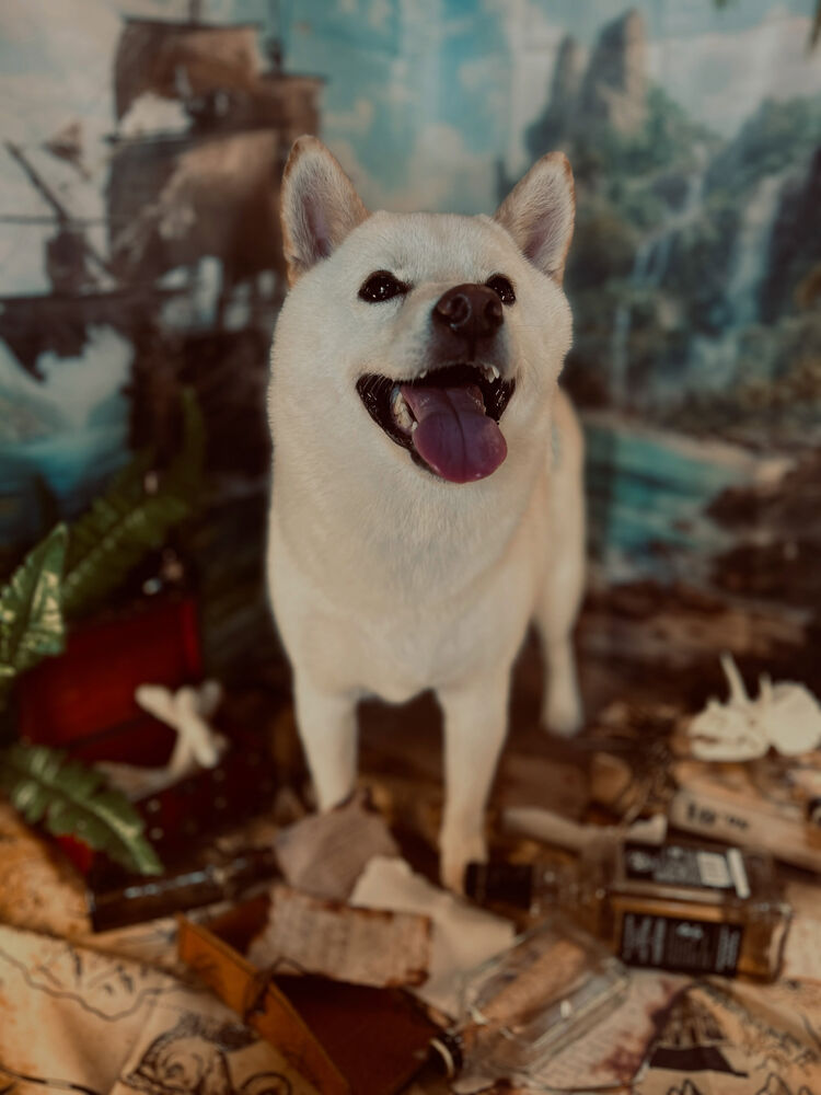 ブログ