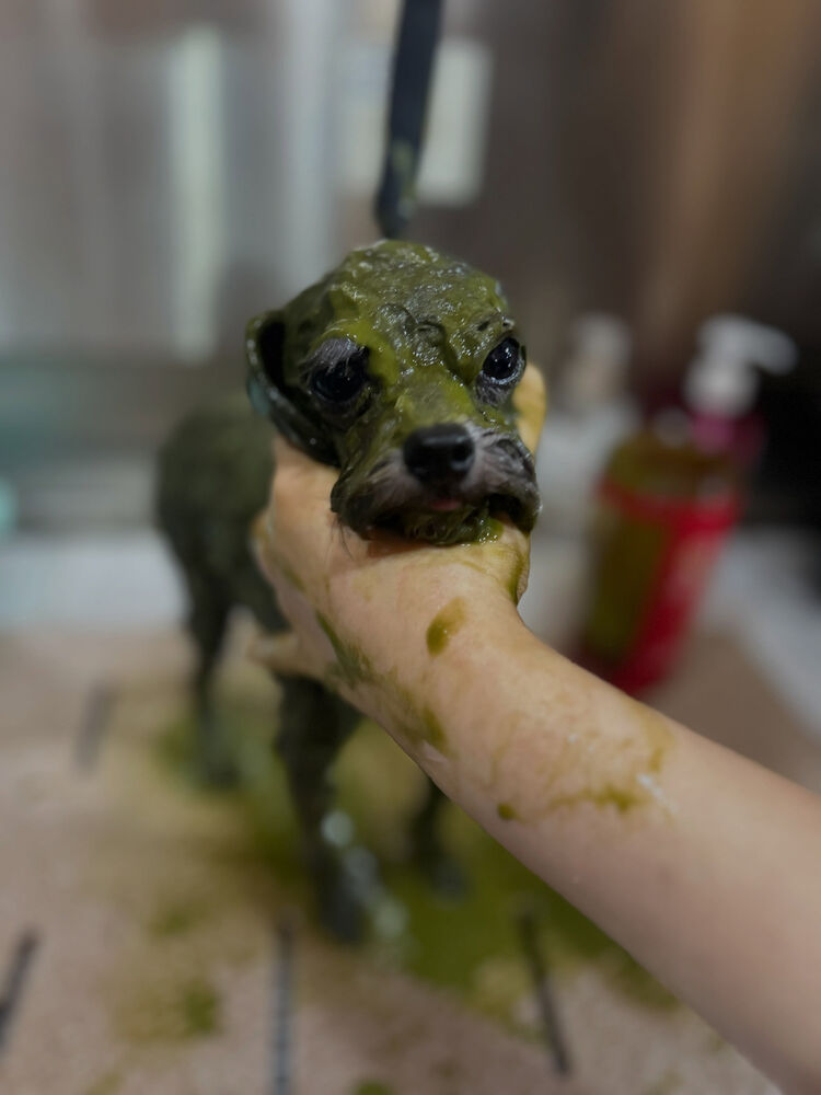 ブログ