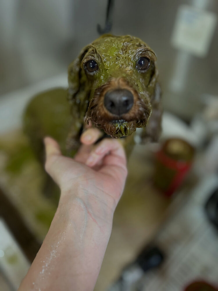 ブログ