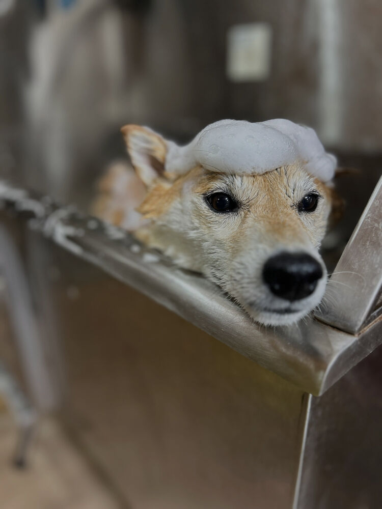 ブログ