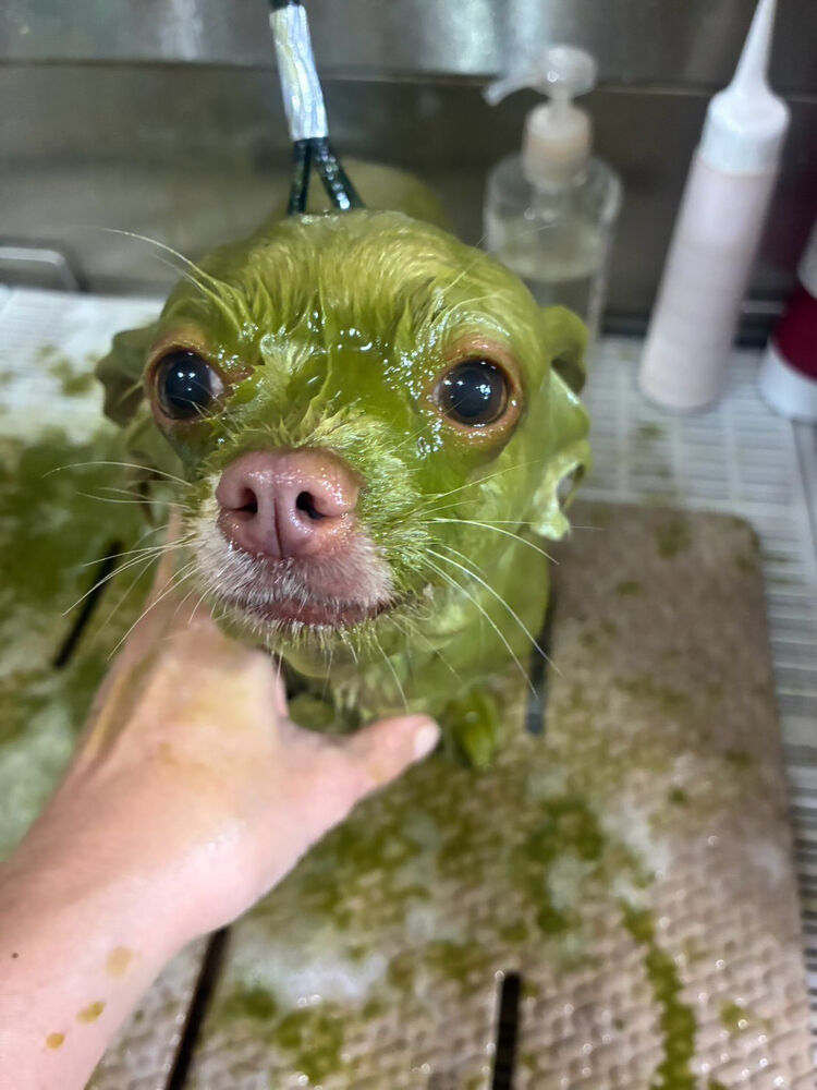 ブログ