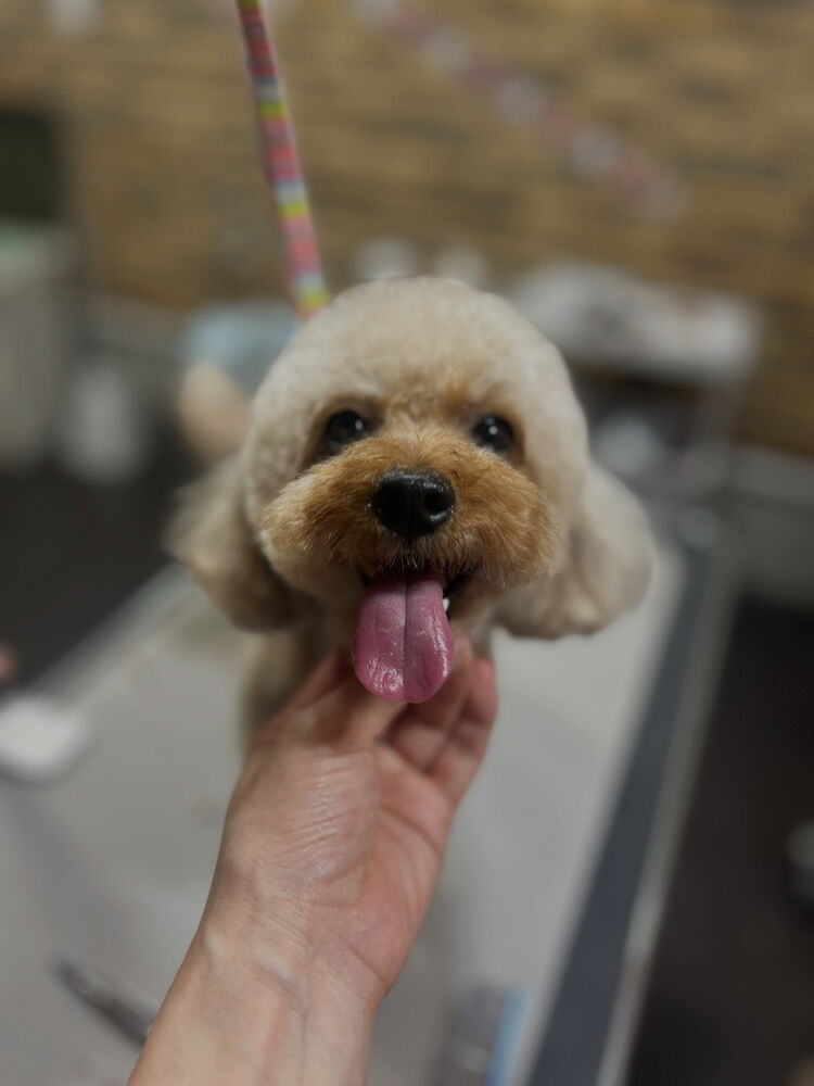 ブログ