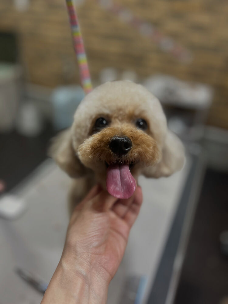 ブログ