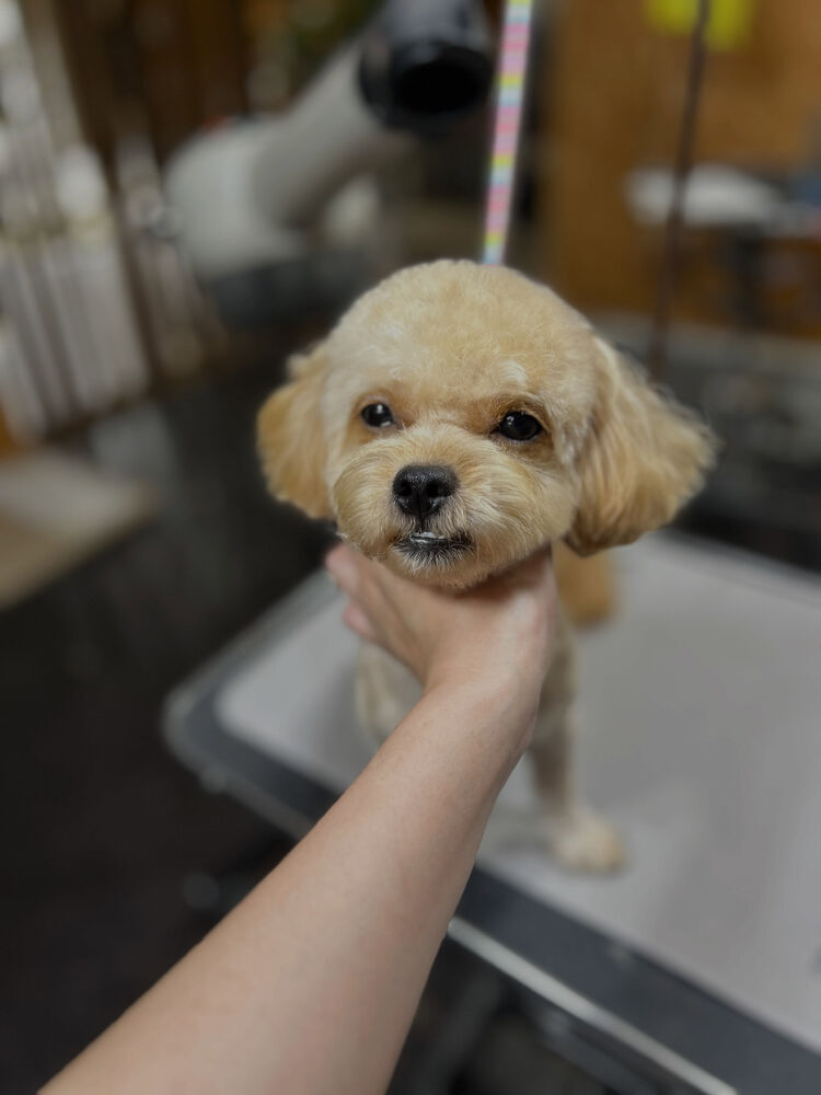 ブログ