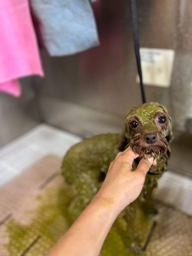 ブログ