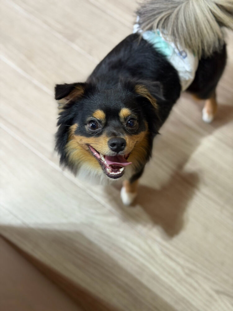 ブログ