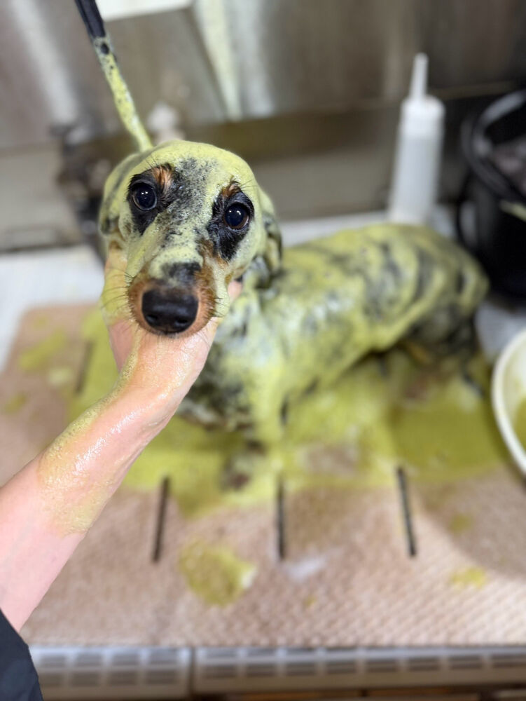 ブログ