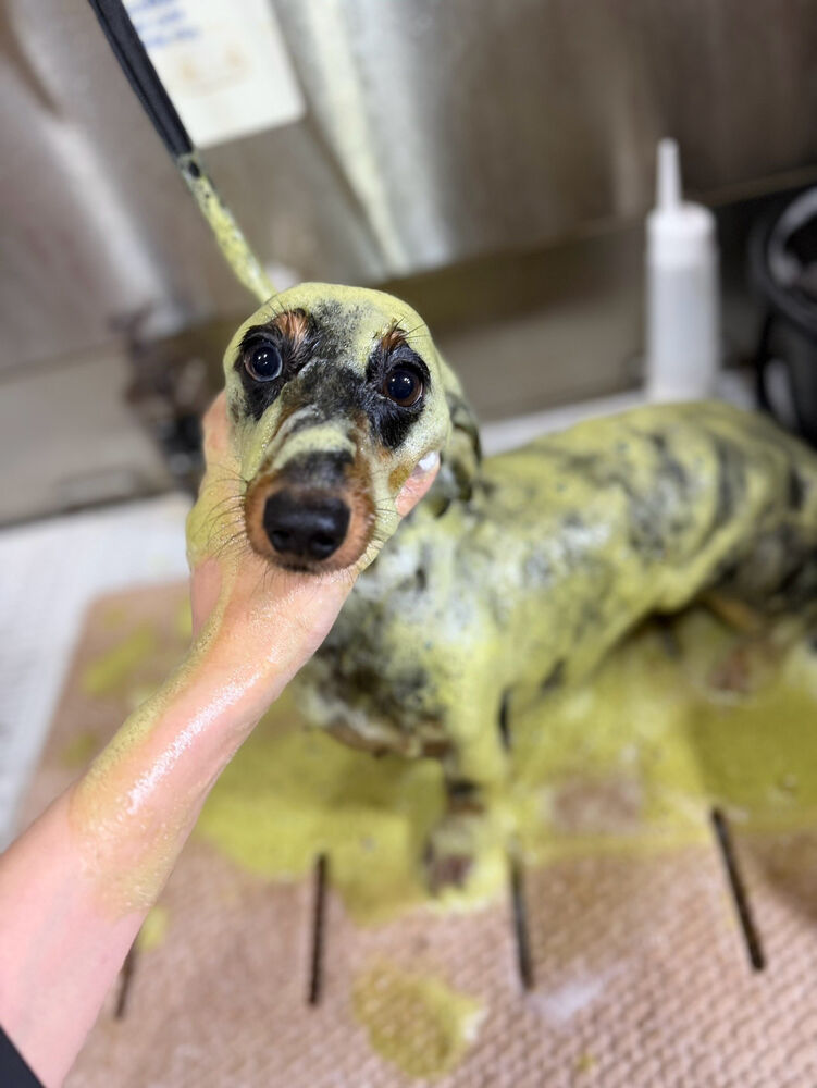 ブログ