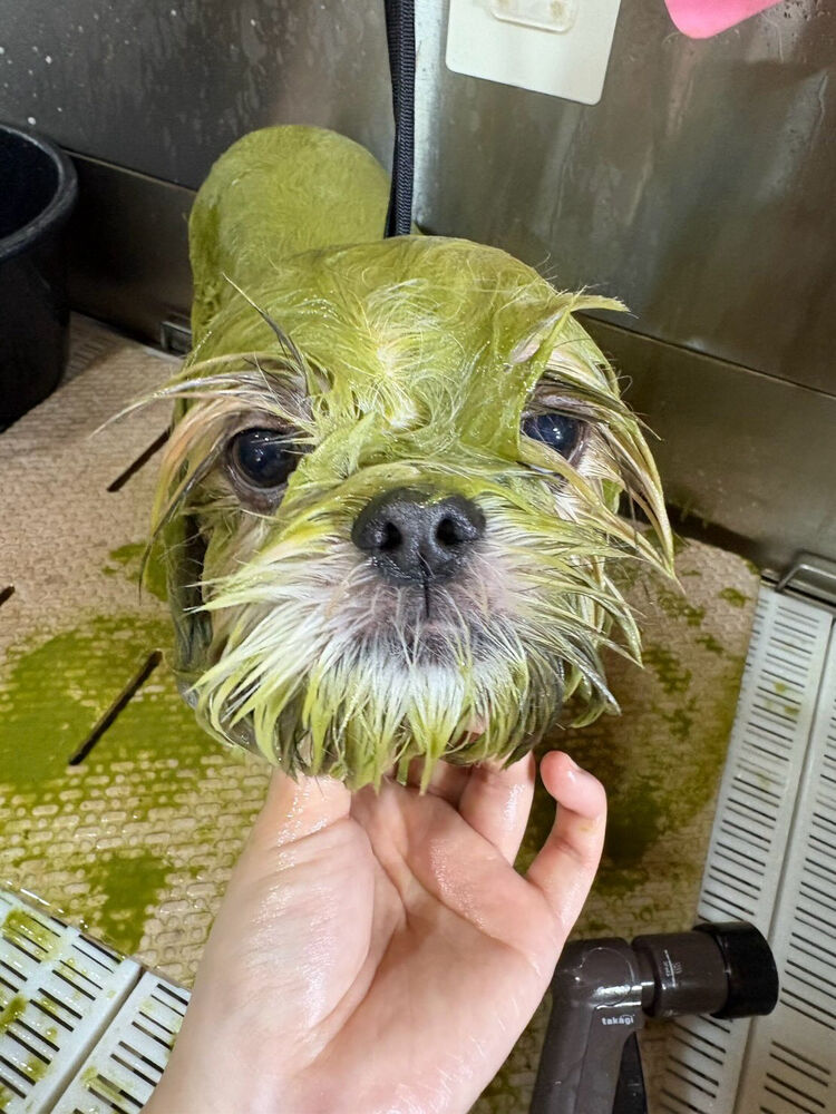 ブログ