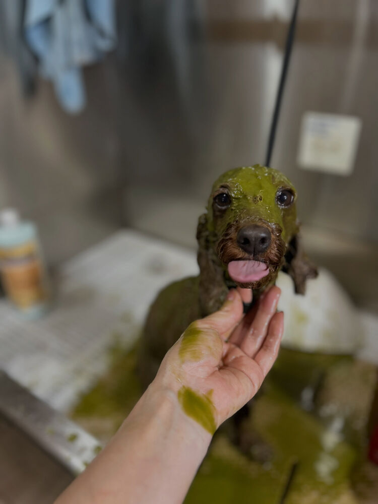 ブログ