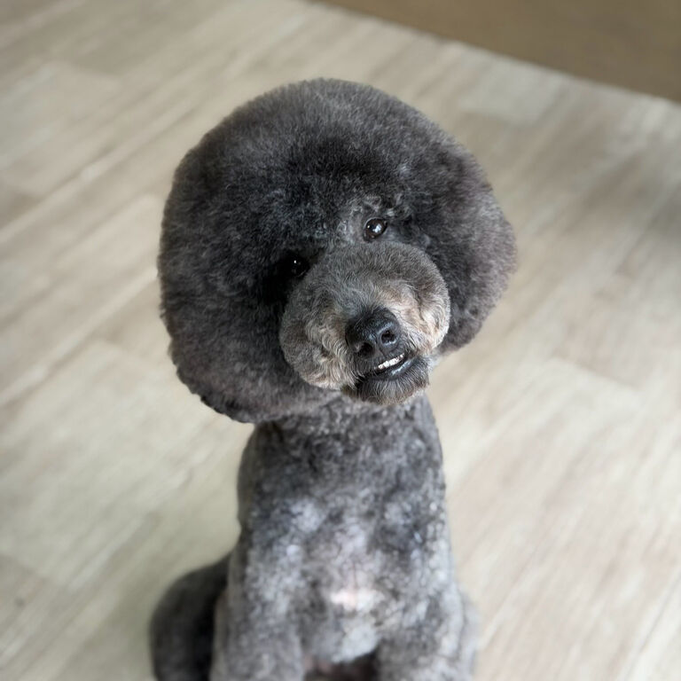ブログ