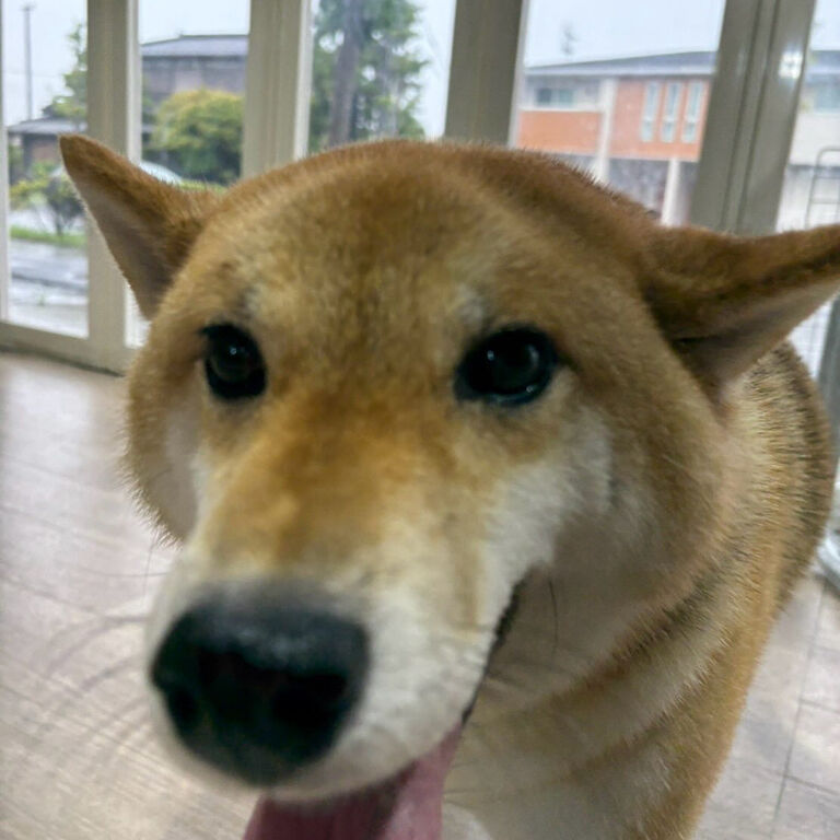 ブログ