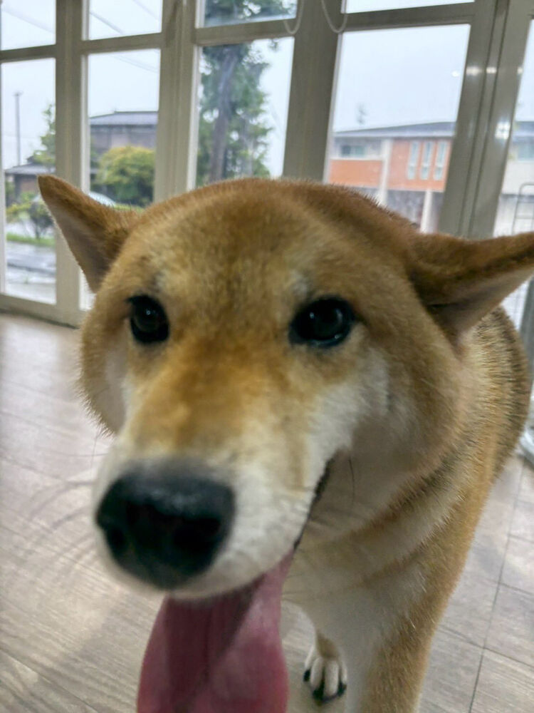 ブログ