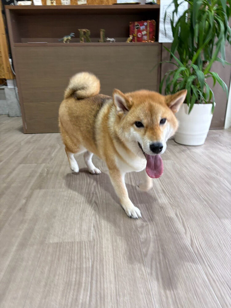 ブログ