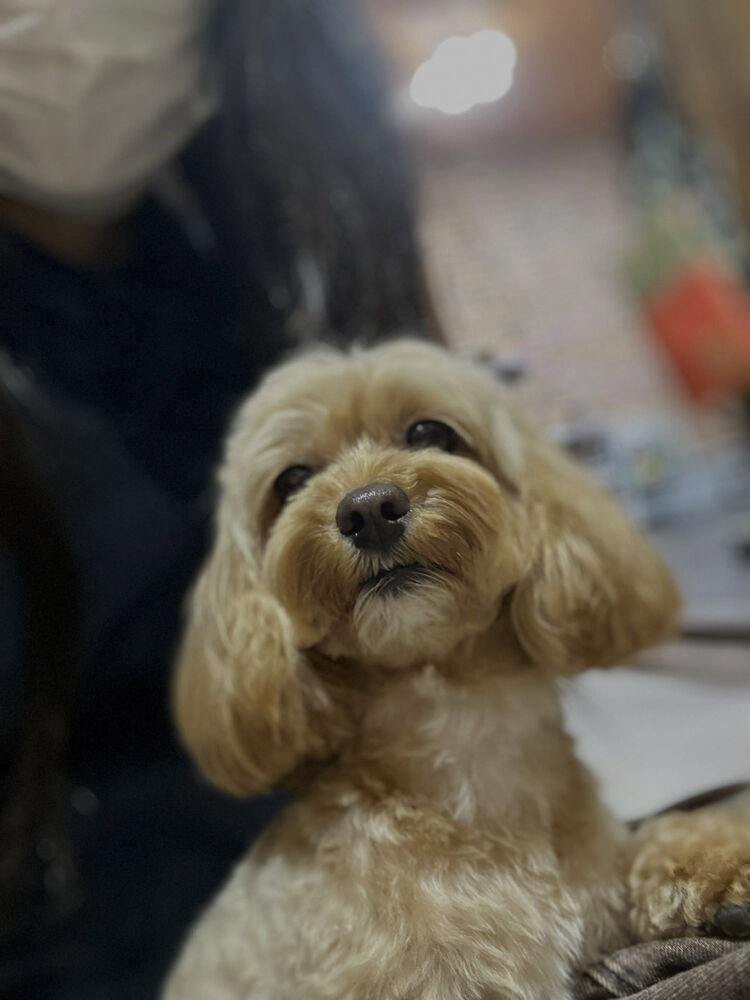 ブログ