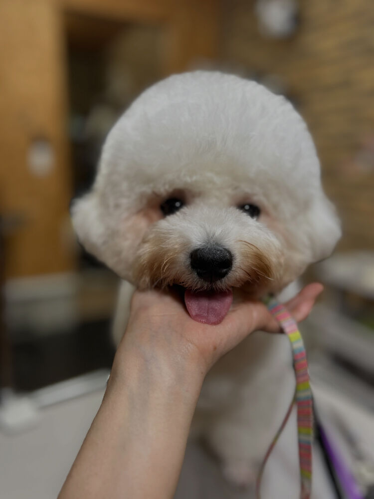ブログ
