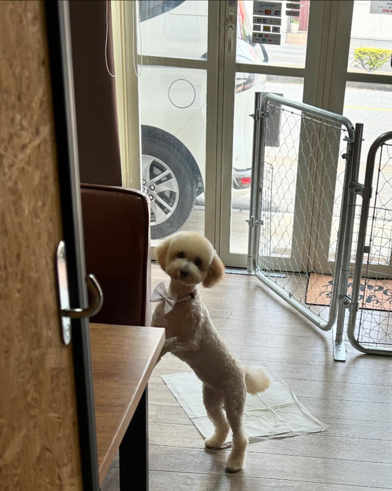 ブログ