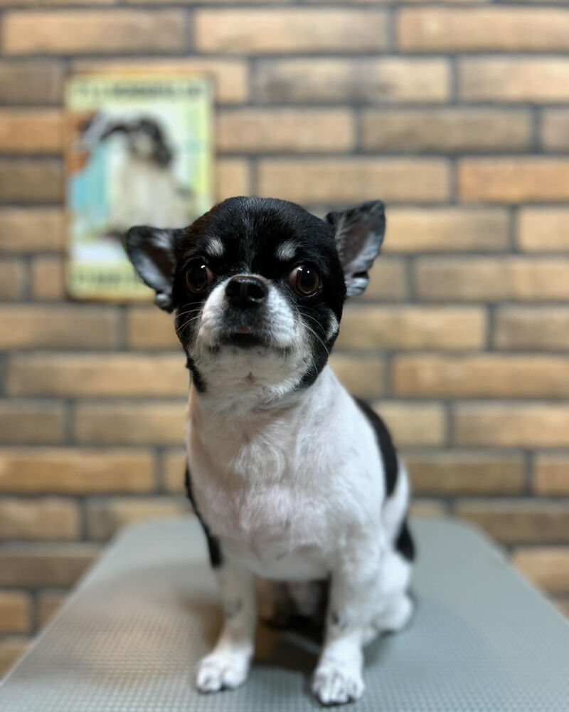 ブログ