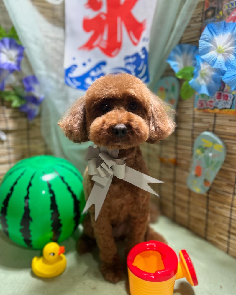 ブログ