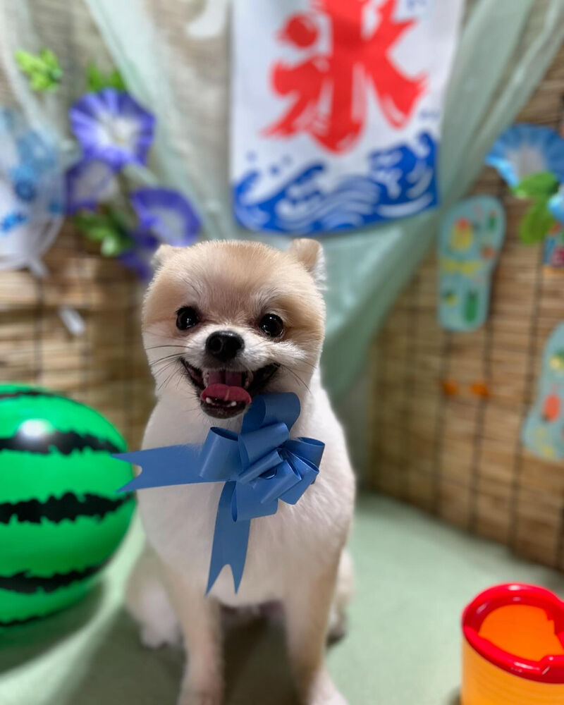 ブログ