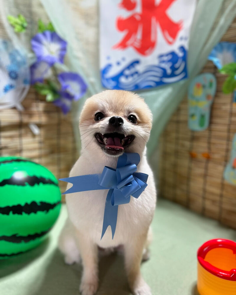 ブログ