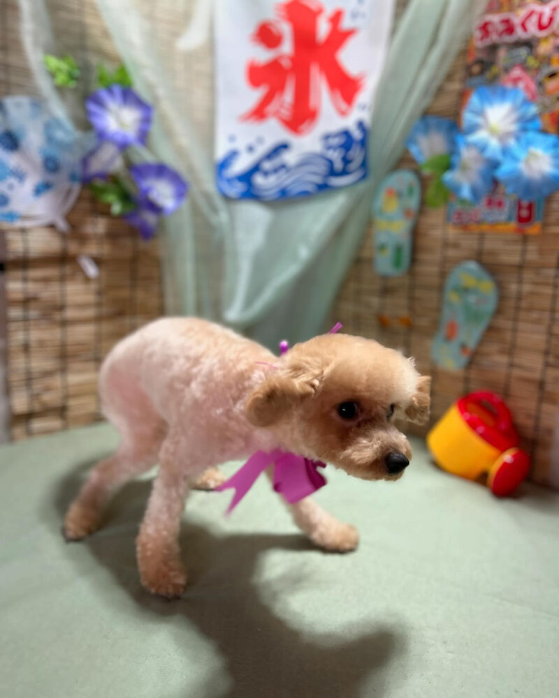 ブログ