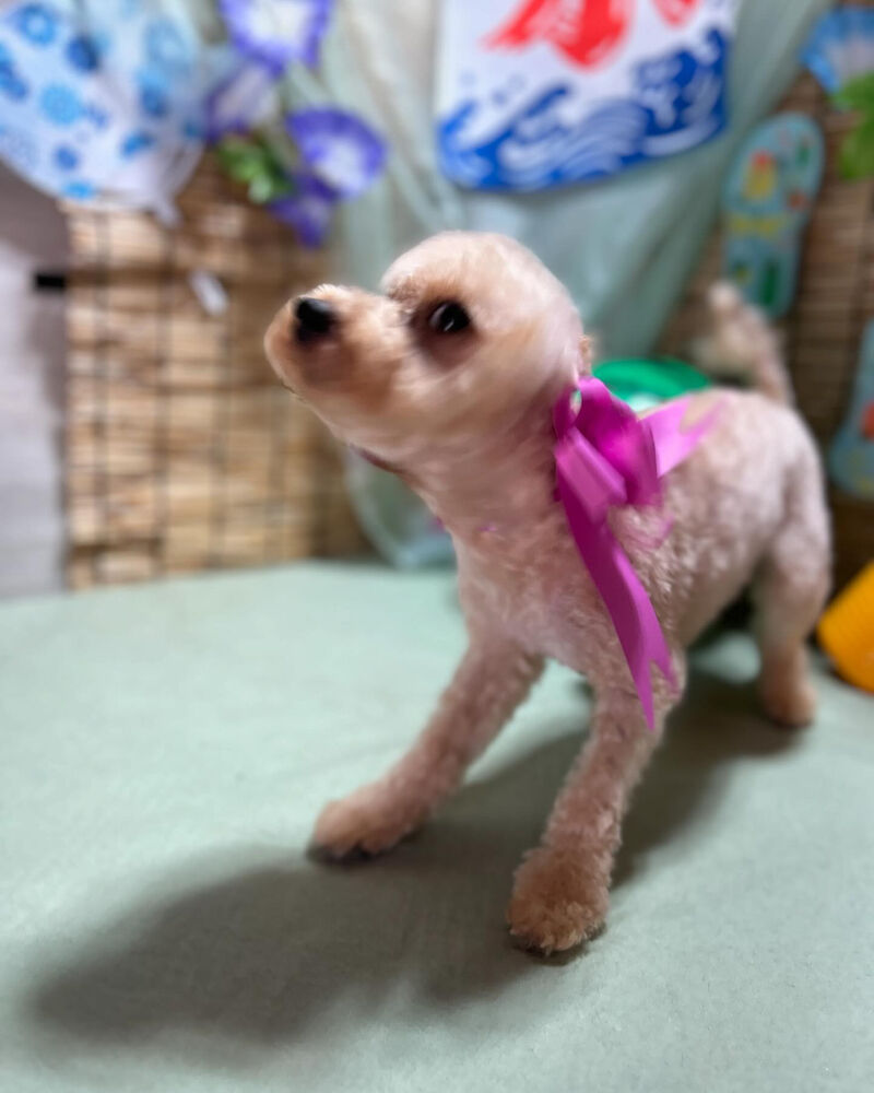 ブログ
