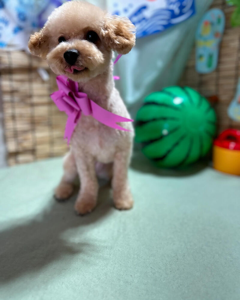 ブログ