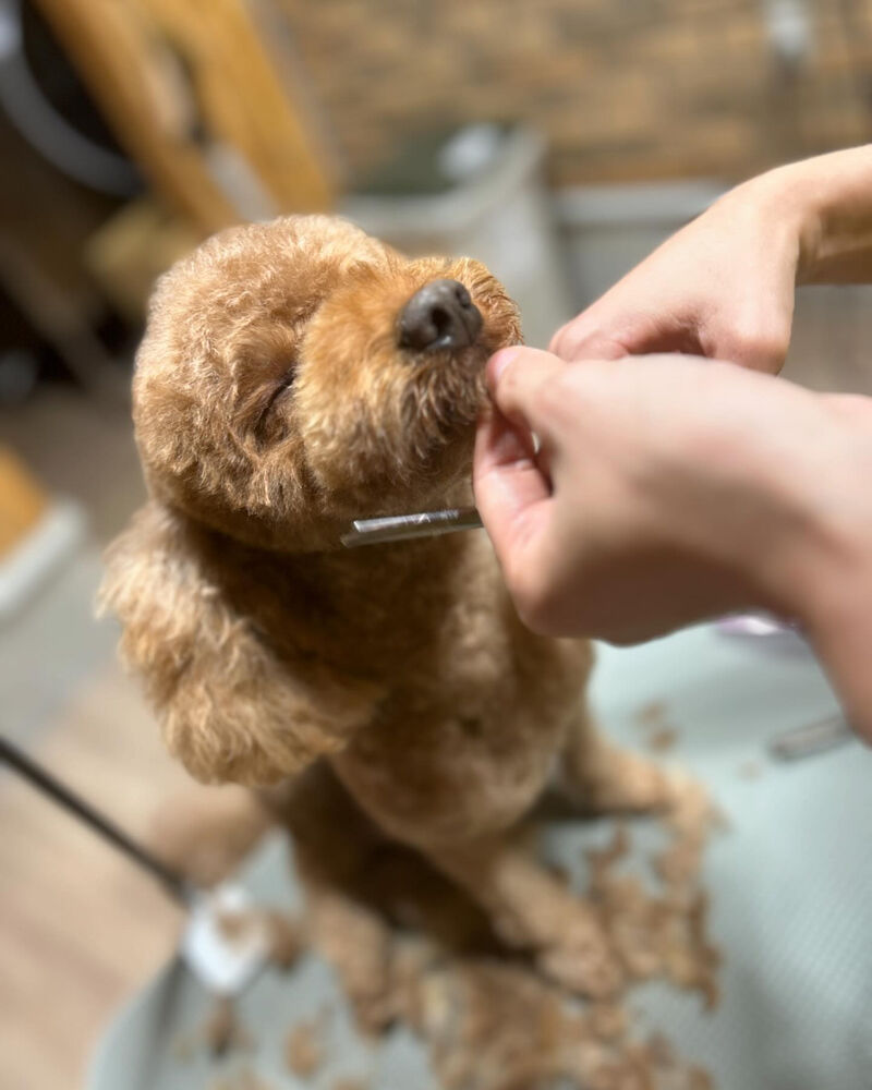 ブログ