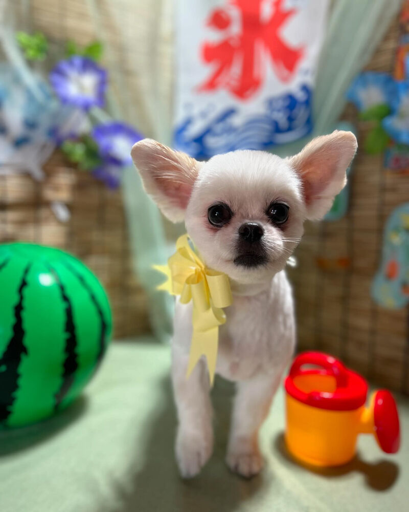 ブログ