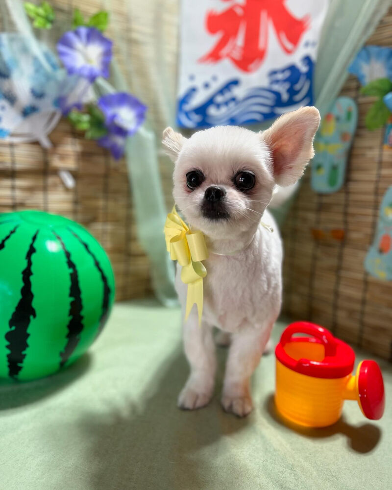 ブログ