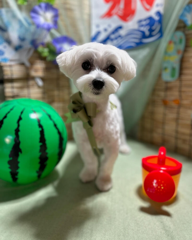 ブログ