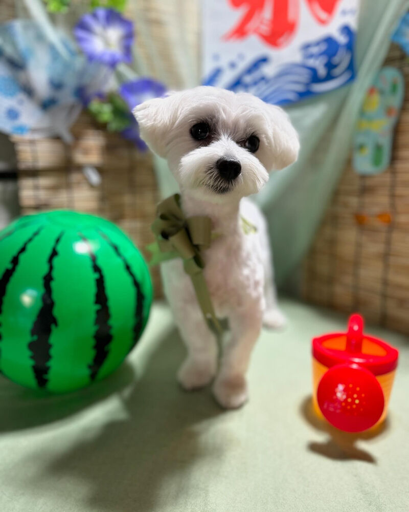 ブログ