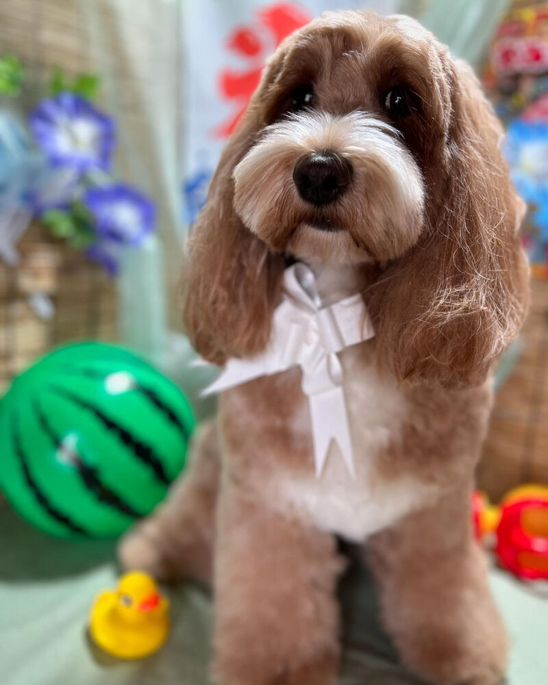 ブログ