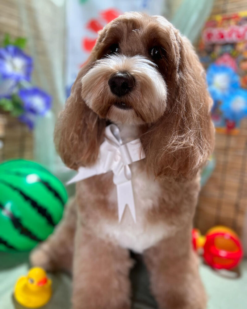 ブログ