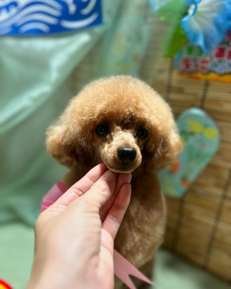 ブログ