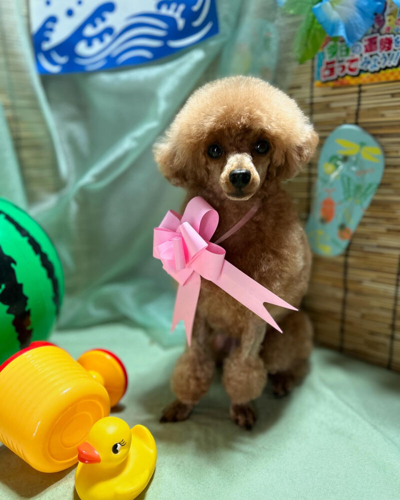 ブログ